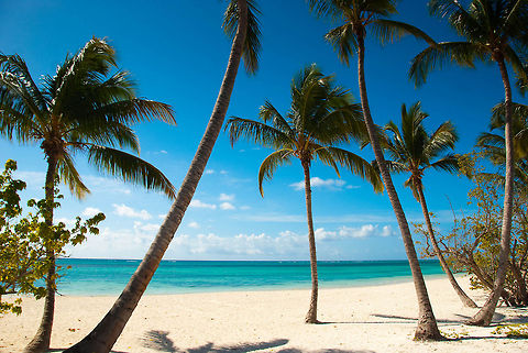 Playa Serena.  Dominican Republic,Geotagged