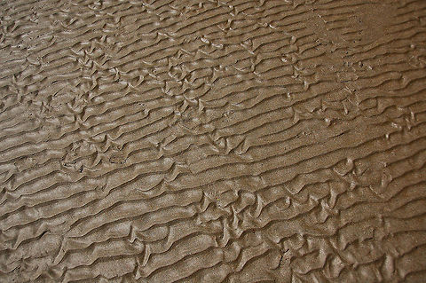 Sand. Playa Jacó. Costa Rica.  Costa Rica,Geotagged
