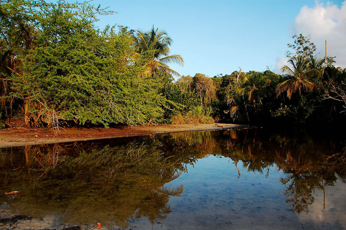 pai-1  Costa Rica,Geotagged