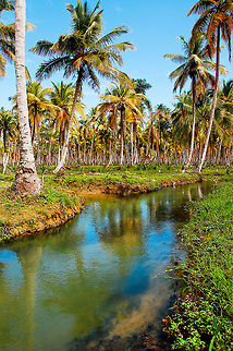terren-1  Dominican Republic,Geotagged