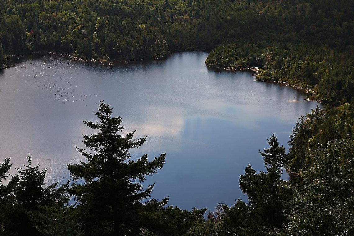 View_of_Loon_Lake_2 View of Loon Lake from the top of Loon Mountain, Jackson, New Hampshire lake,mountains,trees,water