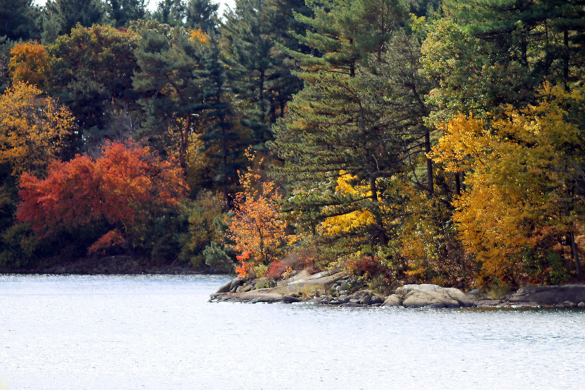 View of Spot Pond  Spot Pond,autumn,rocks,trees,water