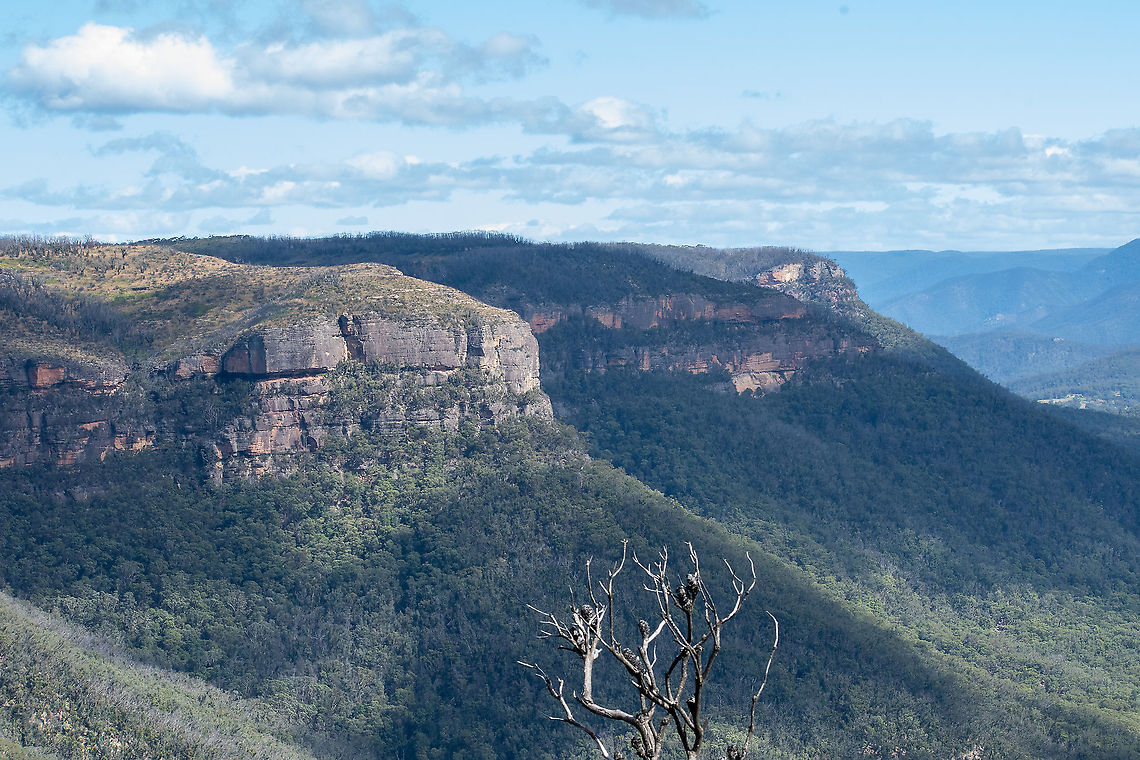 Jamieson Valley Blue Mountains  Australia,Fall,Geotagged