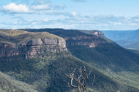 Jamieson Valley Blue Mountains  Australia,Fall,Geotagged