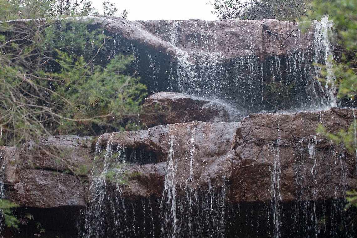 Fairy Falls Good to see a lot of waterfalls around the mountains at present. Australia,Fall,Geotagged,Waterfall