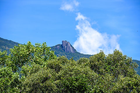 Devil's Thumb Nail-Mossman- QLD This landmark can be seen from all over Mossman. Australia,Fall,Geotagged