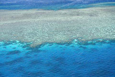 Great Barrier Reef - Agincourt Reef The Great Barrier Reef is one of the seven wonders of the natural world being the largest coral reef  system in the world composed of over 2,900 individual reefs and 900 islands stretching for over 2,300 kilometres over an area of approximately 344,400 square kilometres.t is the only living thing visible from space.
This shot was taken from a helicopter over Agincourt reef which is on the edge of the continental shelf.

 Australia,Fall,Geotagged