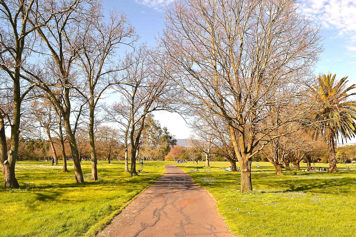 The Pathway Springtime...<br />
Taken at Jell&#039;s Park, Victoria, Australia<br />
 Australia,Geotagged,trees