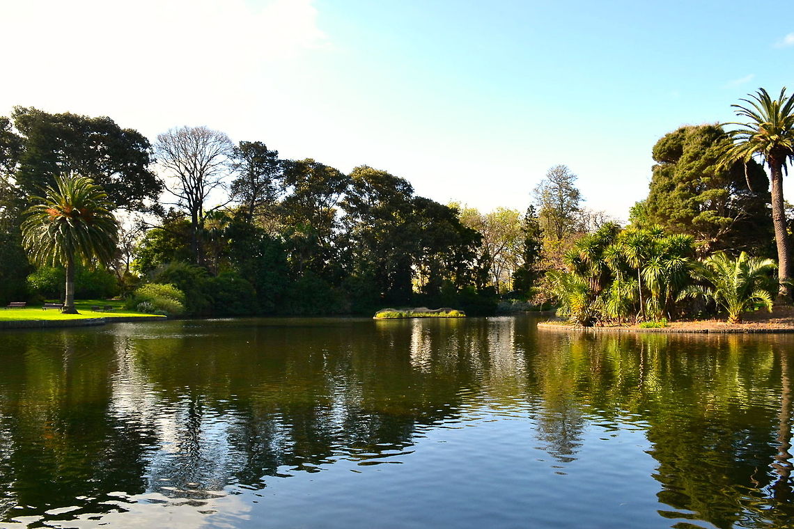 Ripples Taken at Royal Botanic Gardens, Melbourne, Australia Australia,Geotagged