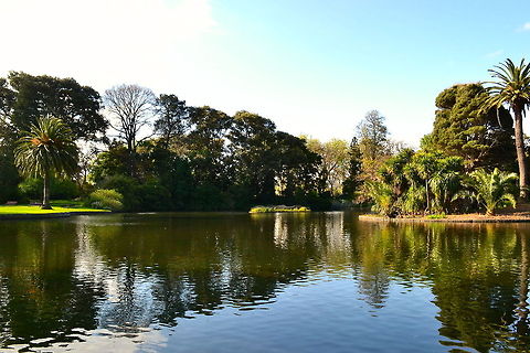 Ripples Taken at Royal Botanic Gardens, Melbourne, Australia Australia,Geotagged