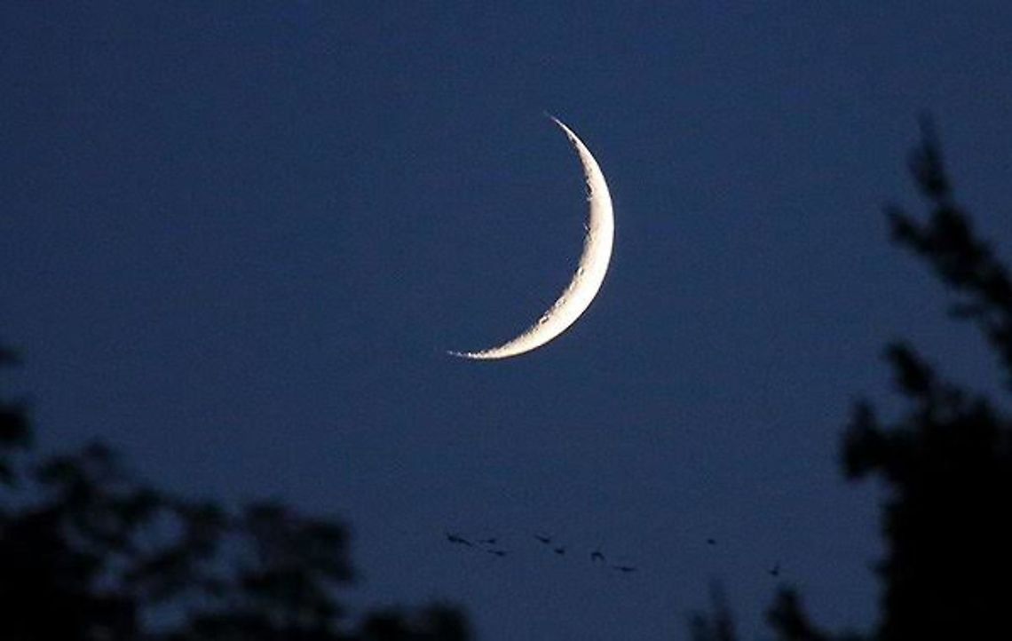 Moon