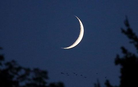 Moon