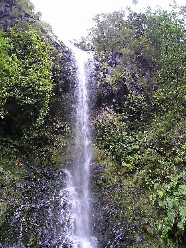 Nice waterfall at Madeira Portrait view of a thin, lengthy waterfall amidst the forest in Madeira. Europe,Madeira,Portugal,Waterfall
