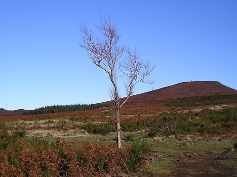 Madeira landscape 2 Yup the skies were constantly that blue. Europe,Landscapes,Madeira,Portugal