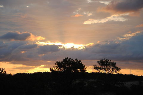 Sunrise over Jockey's Ridge in Nags Head, NC Sunrise over Jockey's Ridge in Nags Head, NC Sunrise,landscape