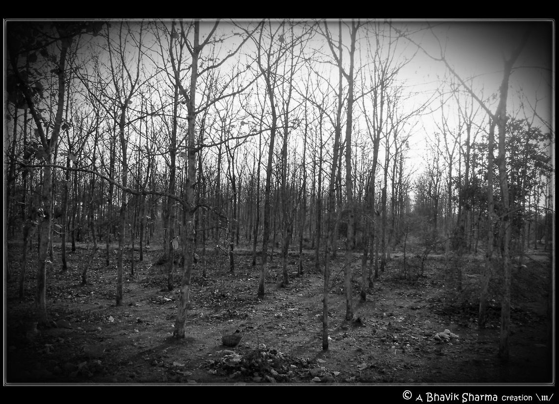 Crowded loneliness  black and white