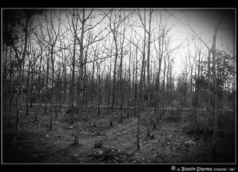 Crowded loneliness  black and white