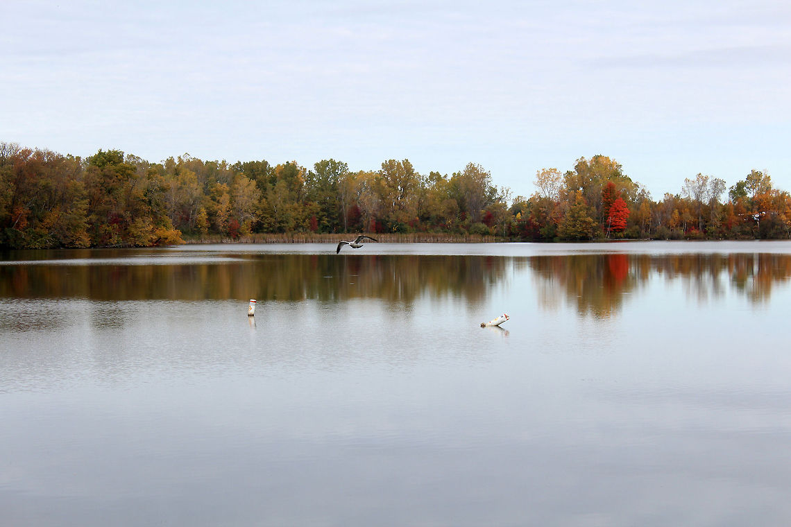 Fall colors at their peak I took this at a county park when the fall colors were supposed to be at their peak. I kind of wish the colors were a little bit prettier but I think it&#039;s still a beautiful picture. autumn,lake
