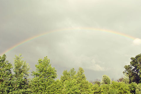 Afternoon Rainbow  Rainbows