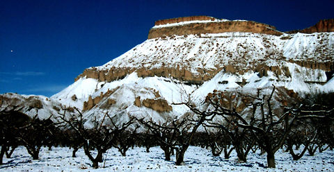 Orchard Brisk  Geotagged,United States