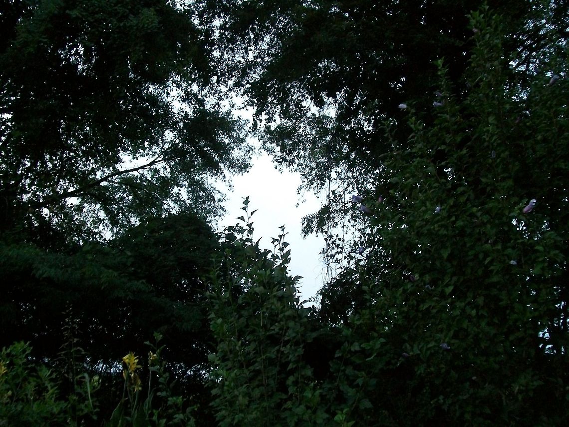 My Photos 148 A Photograph of My Mother's Garden Geotagged,United States