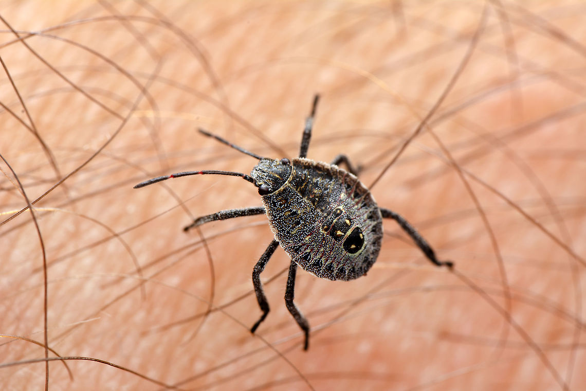 OZT_1662  Geotagged,Spring,Turkey