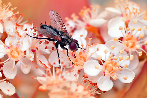 ÇALIŞ_JPEG_(438)-büyük1