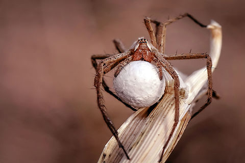 &Ccedil;ALIŞ_JPEG_(404)-&ccedil;