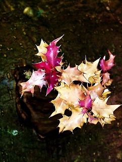 2012-09-17_12.24_.23-1_