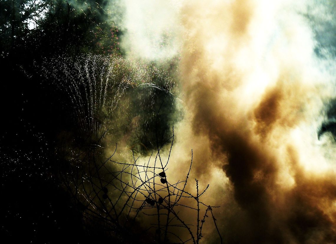 flowers_and_sprinklers  water