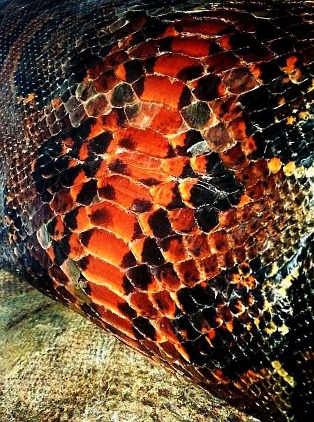 in_the_begging_revised