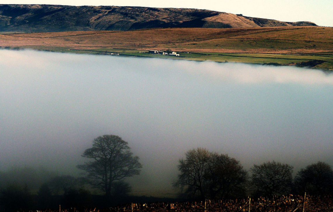 landscape  fog