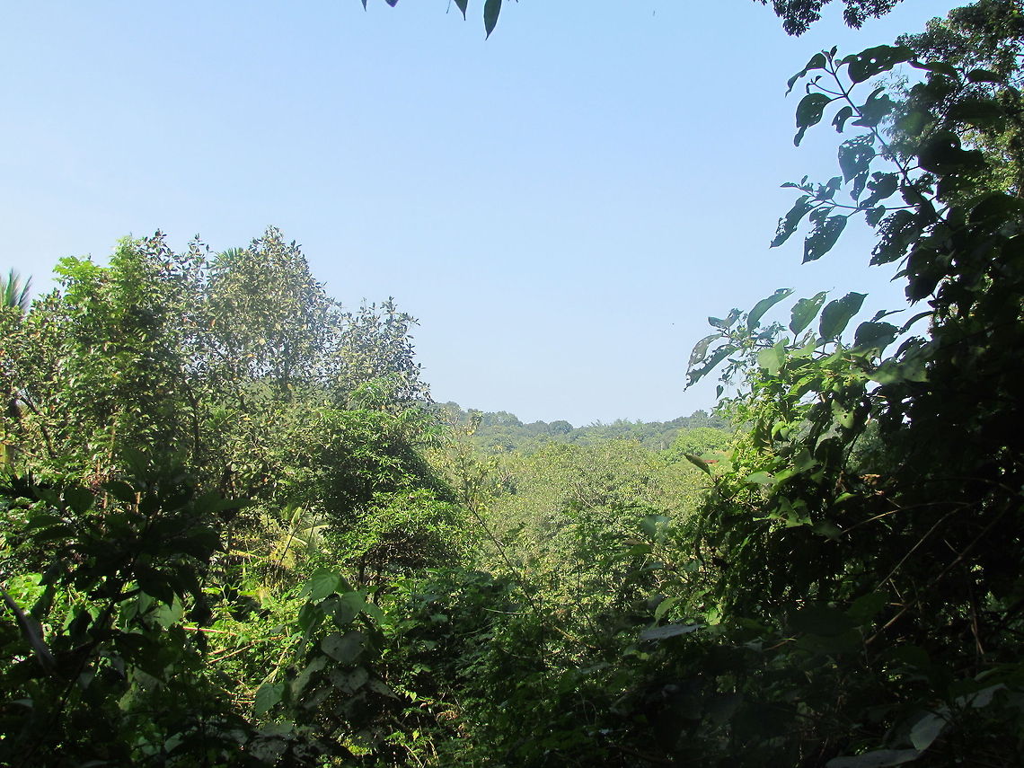 IMG_5456  Geotagged,India