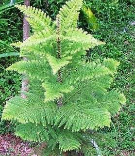 IMG_1253  Geotagged,India