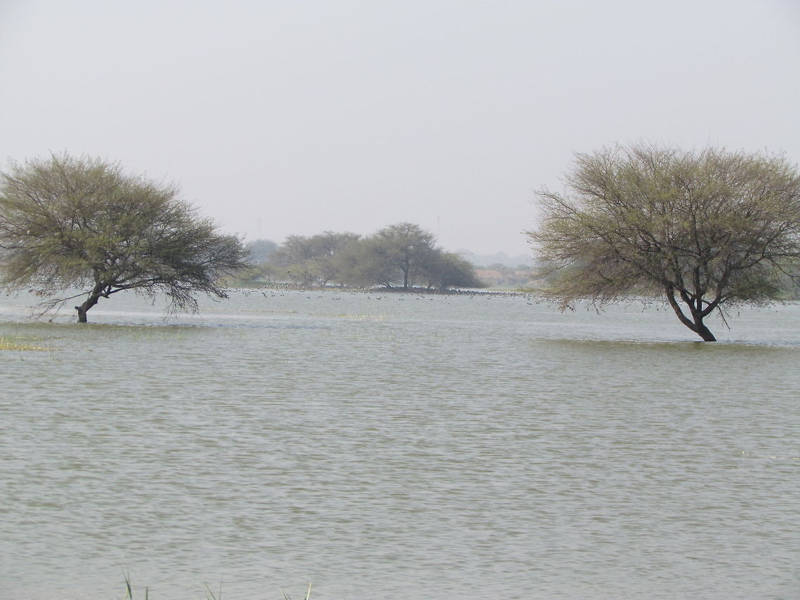 Flood  Geotagged,India
