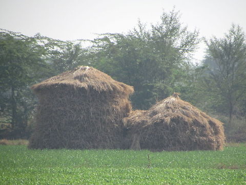 Hut   Geotagged,India