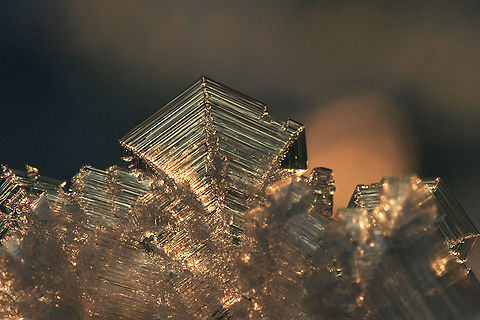 Ice Crystals in golden light. On a very cold winter day everything was covered with snow and these tiny but beautiful ice crystals. crystal,ice,macro,snow,winter