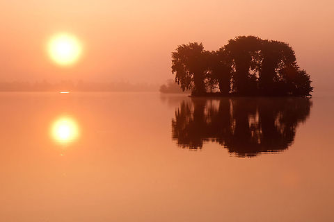 Serenity .:. Sunrise reflected in calm water They promised looots of mist that morning.....
What mist, where? ;) dawn,reflection,scenery,sun,sunrise,water