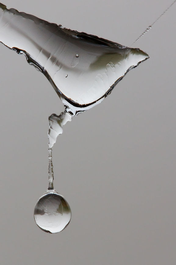 Like Liquid Metal Frozen dewdrops on a spider web. dew,dewdrops,frost,frozen,macro,spider web,water