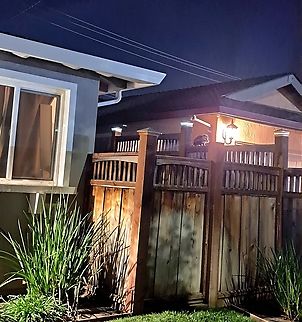 I wonder if she noticed me Waiting for leftover cat food. Cats get first dibs. Ameridelphia,Didelphidae,Didelphis virginiana,Mammalia,Marsupialia,North American opossum,Opossum