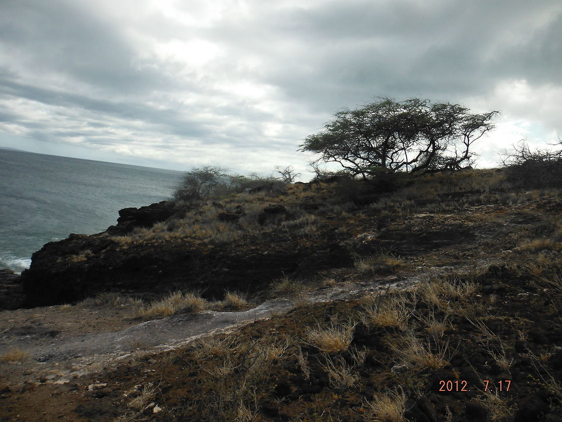 Off the Road in Maui  Geotagged,United States