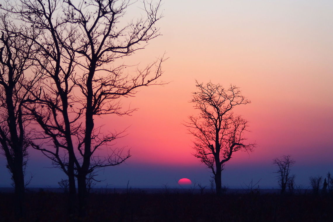 African Sunrise Kruger National Park, South Africa Geotagged,Landscapes,Nature,Sky,South Africa,Sunrise