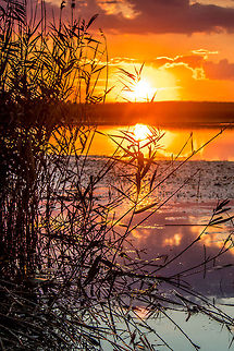 Serbia Sunset  Geotagged,Serbia,Sunset