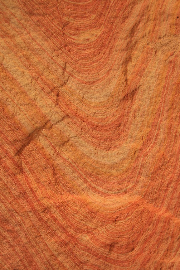 sandstone layers Amazing the flow of these wonderful colours in the sandstone canyon at Ankaranfantsika, Madagascar Geotagged,Madagascar,Winter,rocks,sandstone