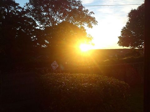 Sunrise Early start pays off Sunrise