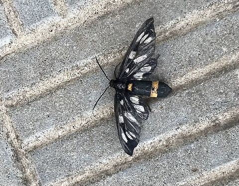 photo_2021-06-26_22-56-24