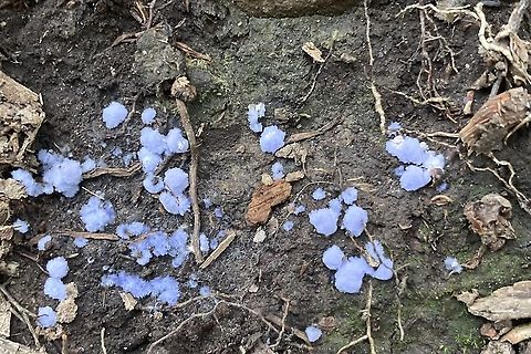 0564B67A-B6F8-468E-AF53-EC88A1BA1669 Looking for identification