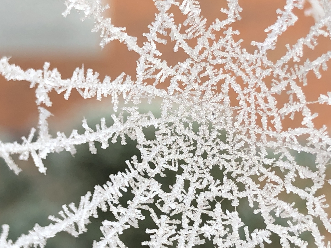 Unknown spider web species Cold icy day in Warwick, England Geotagged,United Kingdom,Winter