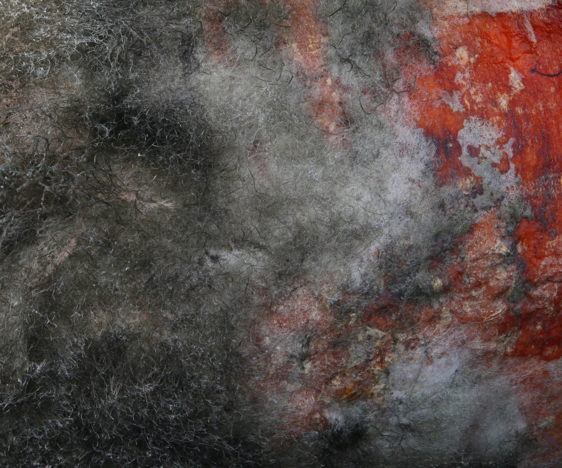 White fungus or Sclerotinia sclerotiorum on an infected carrot Nope, not the planet Mars just a common fungus found on stored and damaged root crops like carrots.<br />
f5.6, 1/80 sec, 100 ISO,1X,  42 shots at 503&micro;m step<br />
<br />
<figure class="photo"><a href="https://www.jungledragon.com/image/140051/white_fungus_or_sclerotinia_sclerotiorum.html" title="White fungus or Sclerotinia sclerotiorum"><img src="https://s3.amazonaws.com/media.jungledragon.com/images/5803/140051_thumb.jpg?AWSAccessKeyId=05GMT0V3GWVNE7GGM1R2&Expires=1769040010&Signature=gCkEkjIAfBun4qo8gqUvZvYzHOM%3D" width="200" height="78" alt="White fungus or Sclerotinia sclerotiorum Common mold on many root crops usually in storage<br />
f5.6, 1/80 sec, 100 ISO,5X Sclerotinia sclerotiorum" /></a></figure><br />
White fungus on carrot<br />
<figure class="photo"><a href="https://www.jungledragon.com/image/140049/white_fungus_sclerotinia_sclerotiorum_on_a_imperator_58_carrot_top_or_daucus_carota_subsp._sativus.html" title="White fungus Sclerotinia sclerotiorum on a Imperator 58 carrot top or Daucus carota subsp. sativus"><img src="https://s3.amazonaws.com/media.jungledragon.com/images/5803/140049_thumb.jpg?AWSAccessKeyId=05GMT0V3GWVNE7GGM1R2&Expires=1769040010&Signature=0nuaGjZo9cL7Wq1q2rju6jvG41M%3D" width="200" height="134" alt="White fungus Sclerotinia sclerotiorum on a Imperator 58 carrot top or Daucus carota subsp. sativus A common cultivated carrot with a common fungus infection usually found in storage  Carrot,Daucus carota subsp. sativus,Geotagged,Sclerotinia sclerotiorum,Summer,United States" /></a></figure><br />
Imperator 58 carrot or Daucus carota subsp. sativus Geotagged,Sclerotinia sclerotiorum,Summer,United States