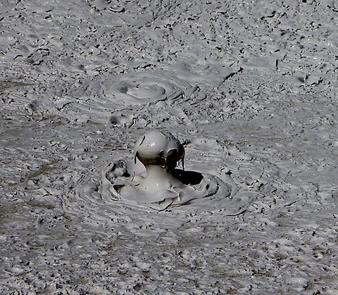 Mesmerizing mud pot bubbles Like a big pot of boiling mush or porridge, one could watch this hypnotic bubbling for some time. The different mud colors come from oxidation states of the iron in the mud. The heat in the caldera forces pressurized water up through the ground, and also gasses causing the bubbling action.  In the early summer, the mud is watery from the high-water table due to rain and snow melt. By the end of summer, the mud is much thicker as the water table drops.
5N4A4911
https://www.jungledragon.com/image/161239/mud_pot_bubble.html Geotagged,Natural events,Spring,United States;Yellowstone